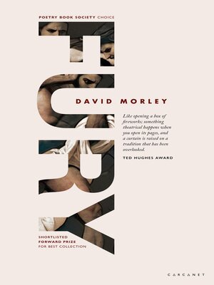 cover image of FURY